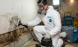 Mold remediation services for water damage in Kansas City, MO
